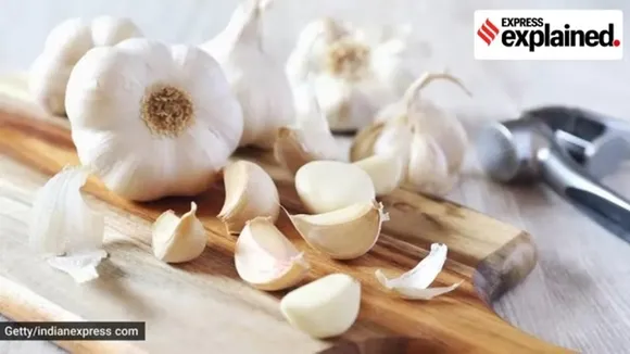 Why garlic prices are up in india and will stay high for some time , ভারতে কেন রসুনের দাম বাড়ছে ও কতদিন তা বজায় থাকবে?