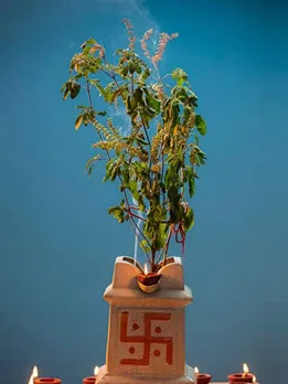 TULSI PUJA IN PURNIMA