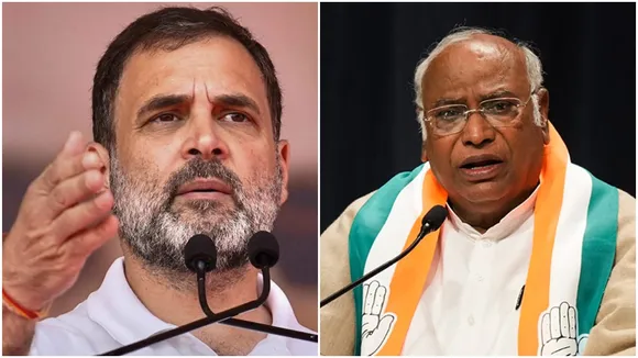 Congress analyses poll losses in MP and Chhattisgarh state leaders come in for criticism , মধ্যপ্রদেশ- ছত্তিশগড়ে কেন হারল কংগ্রেস? রাজ্য নেতাদের যুক্তিতে তাজ্জব রাহুল-খাড়গে