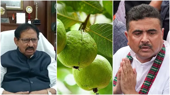 BJP MLAs including Suvendu Adhikari reject Baruipur guavas offer from Assembly Speaker Biman Banerjee , বিধানসভার অধ্যক্ষের দেওয়া বারুইপুরের পেয়েরা প্রত্যাখ্যান করলেন শুভেন্দু সহ বিজেপি বিধায়করা