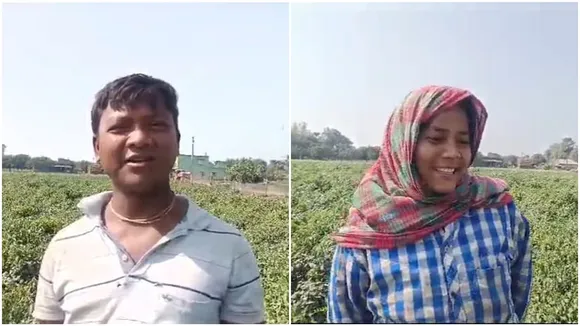 Simla Mirch farming makes profit at puratan malda area