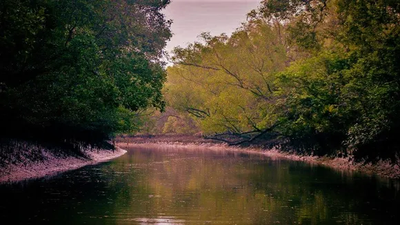 forest worker killed by poachers in Sundarbans