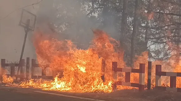 Nainital Forest Fire