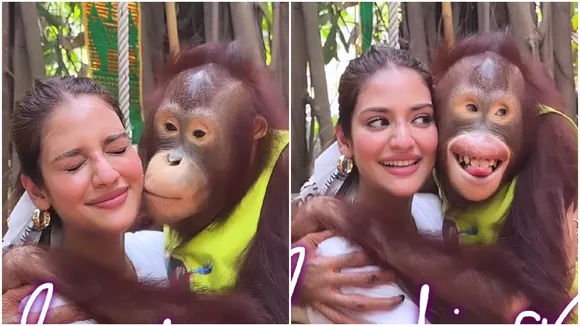 Nusrat Jahan shared a cute video with a chimpanzee tollywood entertainment news