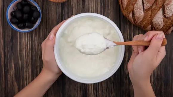 how to make perfect curd at home in summer