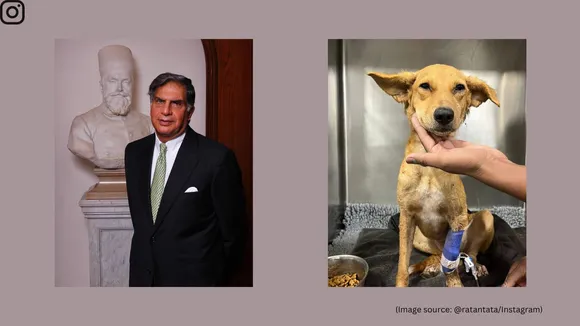 Ratan Tata urges people to find blood donor for ailing dog