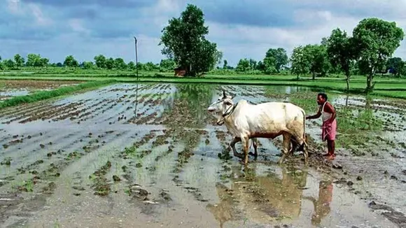 budget 2024, budget allocation, Rashtriya Krishi Vikas Yojana, budget outlay, nda, farmers, farmer incomes, assembly elections, rkvy, rkvy-raftaar, agriculture ministry, department of agriculture and cooperation, farmer welfare, ministry of finance, indian council of agricultural research