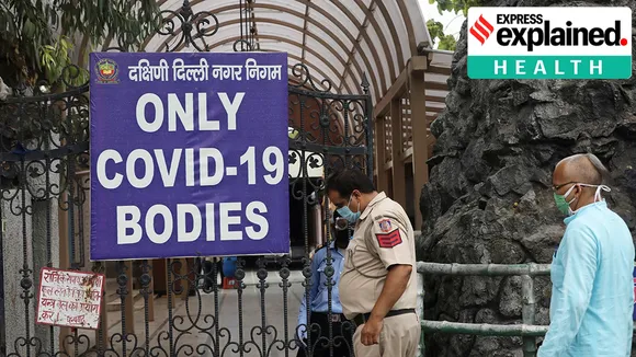 Covid-19 India, Covid deaths, কোভিড-১৯, কোভিডে মৃত্যু,