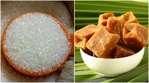 Is jaggery healthy than sugar lifestyle food, চিনি, গুড়