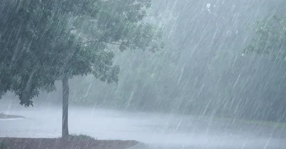 Rain (1)