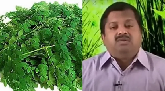 murungai keerai dr sivaraman