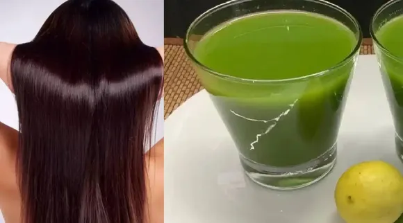 Curry leaves juice