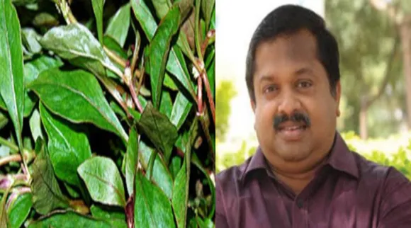 ponnanganni     