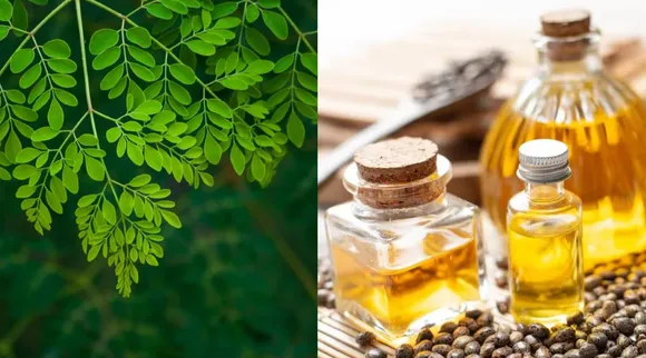 Moringa leaves and castor oil