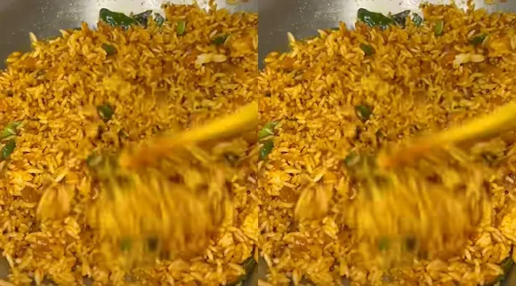 onion rice x