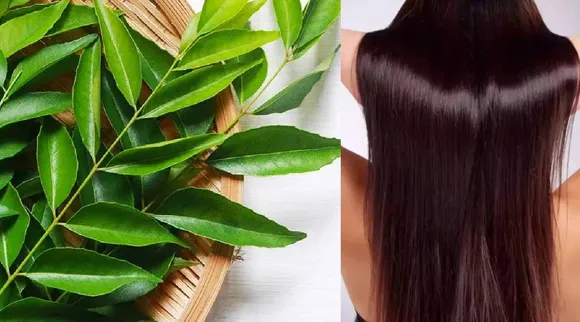 Curry leaves