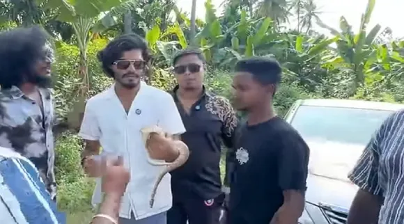 ttf vasan snake