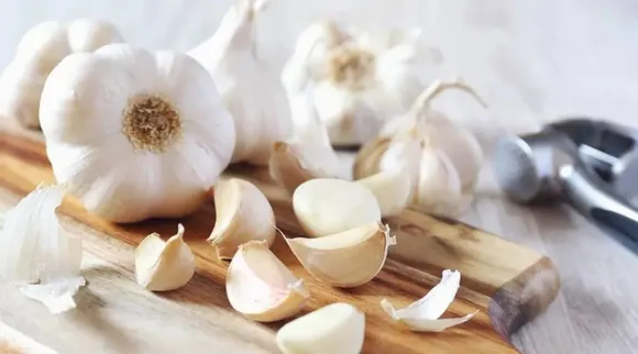 Medicinal values of garlic