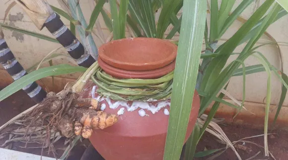 Pongal paanai pic