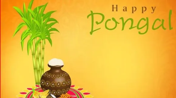 Pongal 