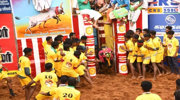 ஜல்லிக்கட்டு               