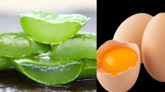 Aloevera gel and egg