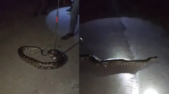 python