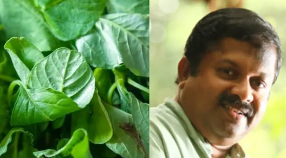 Spinach