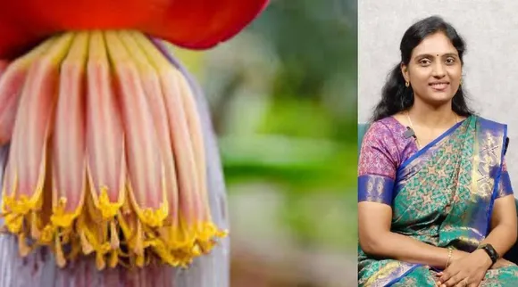 Doctor Nithya