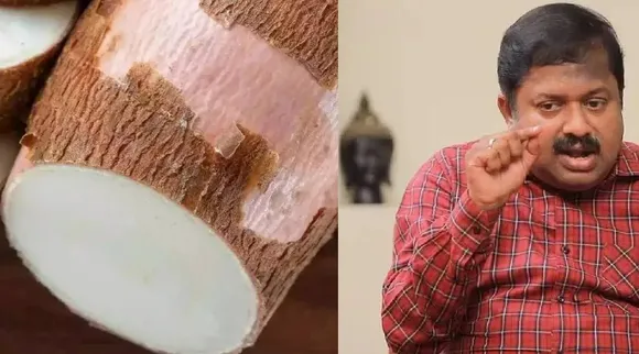 Cassava