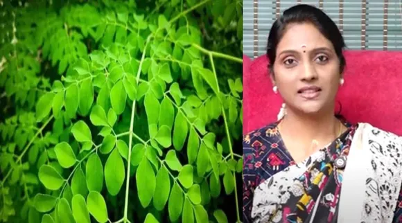 முருங்கை கீரை 