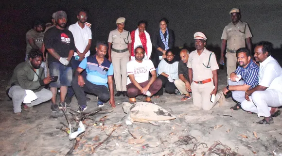 Cuddalore Collector Sibi Adhithya Senthil Kumar participate collecting Olive Ridley turtle eggs coast Tamil News  
