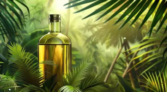 Palm oil issue
