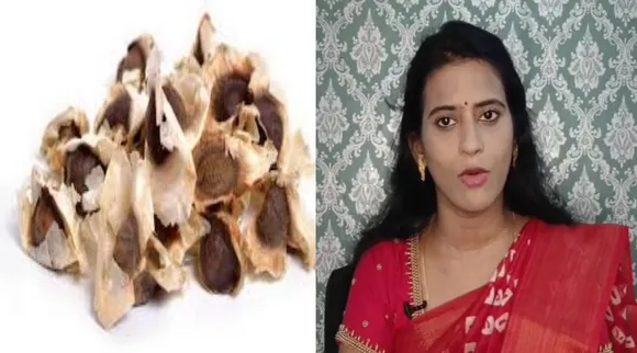 முருங்கை விதை