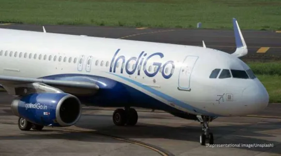 Indigo 
