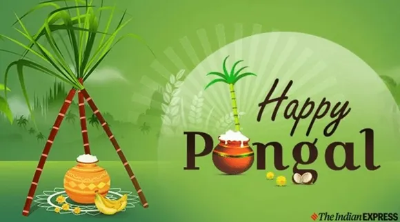 Happy Pongal 2024: நண்பர்களுக்கு பொங்கல் வாழ்த்து அனுப்ப அழகிய வாசகங்கள்- வண்ணப் படங்கள்