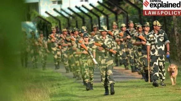 BSF exp