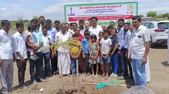 Kovai tree plantation