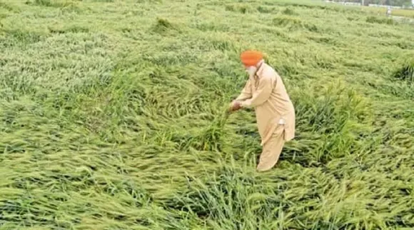 5 ஆண்டுகளில் ரூ.1 லட்சம் கோடிக்கு மேல் திருப்பி ஒப்படைத்த வேளாண்மை அமைச்சகம்