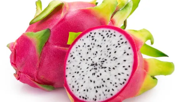 dragon fruit