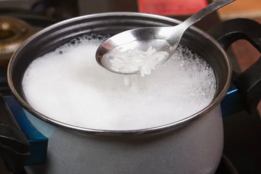 rice
