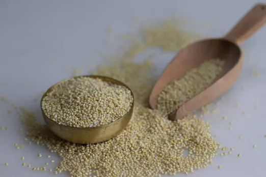foxtail millet