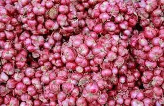 small onion
