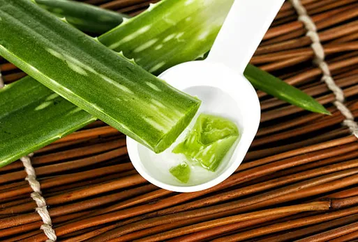 கற்றாழையின் தோல் பராமரிப்பு நன்மைகள்