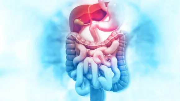 digestion