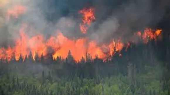 canadian fire