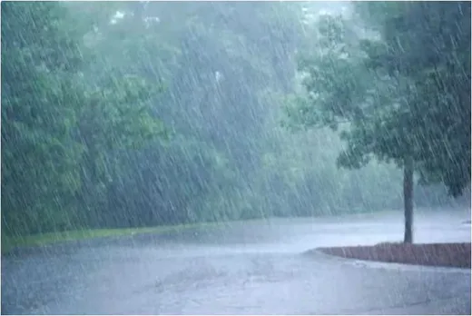 ശക്തമായ മഴയെ തുടർന്ന് മുക്കത്ത് വീടിന് മുകളിലേക്ക് തെങ്ങ് വീണ് വീട്ടമ്മക്ക് പരിക്ക്‌