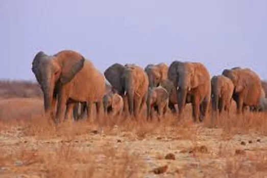namibia