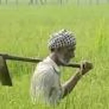FARMER