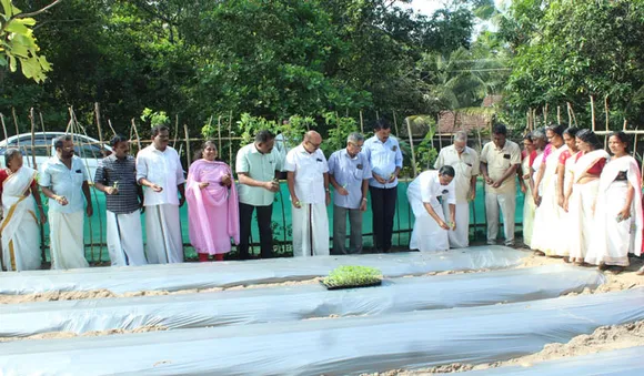 തണ്ണീര്‍മുക്കത്ത് മാതൃക കൃഷിത്തോട്ടം; കൃഷി നാലേക്കര്‍ ഭൂമിയില്‍